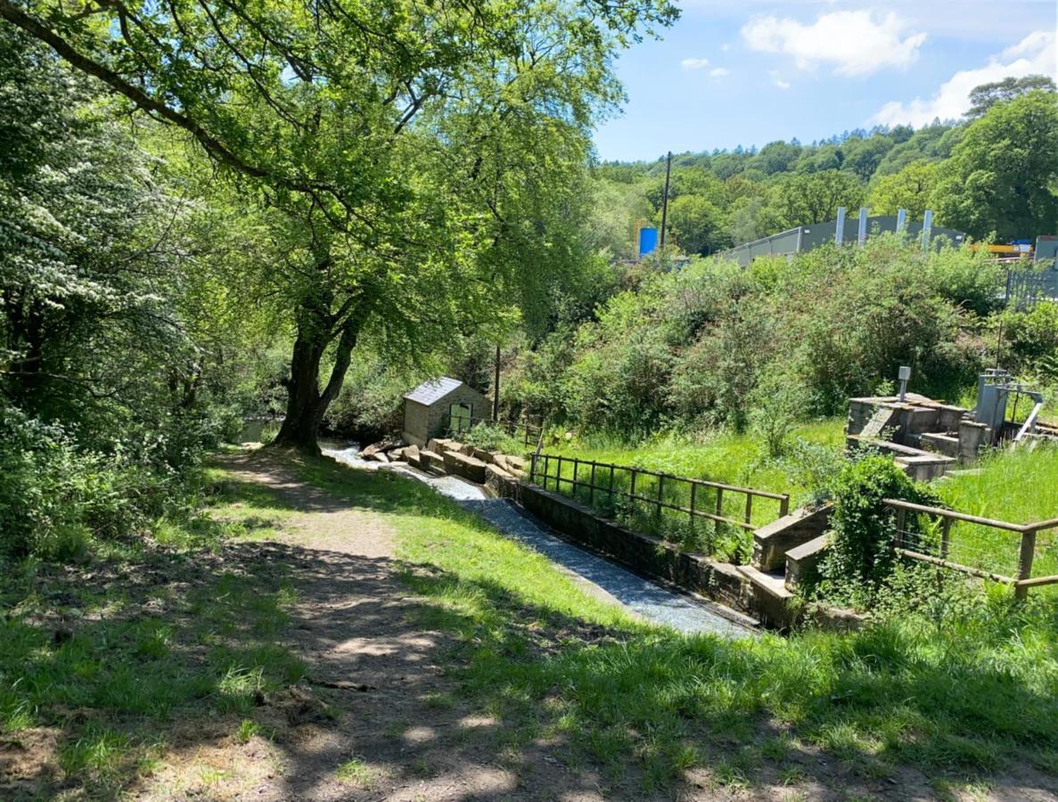 Old Co Op House -Forest Of Dean Bream المظهر الخارجي الصورة